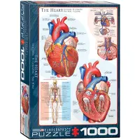 Eurographics Puzzle Herz - 1000 Teile Jigsaw Karton