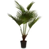 Fleur Ami FAN PALM Kunstpflanze 154 cm