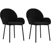 vidaXL Esszimmerstühle 2 Stk. Schwarz Samt