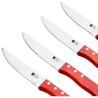 Bergner Messerset BBQ Edelstahl (4 pcs)
