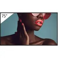 Sony FW-75BZ40L, Digital Signage Flachbildschirm, 190,5 cm (75"), LCD, 3840 x 2160 Pixel, WLAN, 24/7