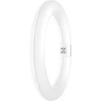 Ledvance LED-Ring-TubeT9C f.KVG/VVG TUBET9CEMV2211W840