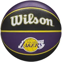Wilson NBA Team Tribute Basketball Los Angeles Lakers 7 Basketball