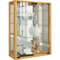 Hioshop Wandvitrine Sammelvitrine Glasvitrine Wand Vitrine Regal Schrank Glas Hängevitrine "Udina Spiegel"