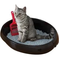 IRIS OHYAMA Katzentoilette Katzentoilette mit Schaufel 50 x 40 x 15 cm - Schwarz - Für Katzen