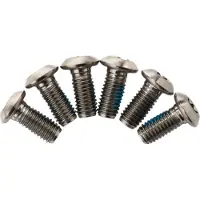 TRP Titanschraube - t25 (x6)