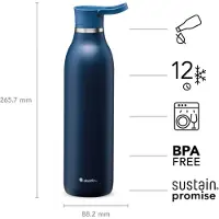 Aladdin Trinkflasche "City Loop", Edelstahl, 600 ml