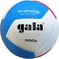 Gala Volleyballball Training Bv5475s
