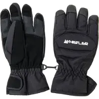 Whistler Gloves Slough