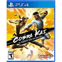 Cobra Kai Karate Kid Saga ? PS4 ? PlayStation 4