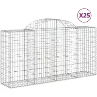 vidaXL Gabionen mit Hochbogen 25 Stk 200x50x100/120cm Verzinktes Eisen