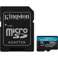Kingston SDCG3/256GB