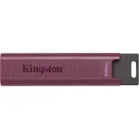 Kingston Datatraveler Max Usb-stick