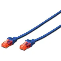 Ewent UTP starres Netzwerkkabel der Kategorie 6 (3 m)