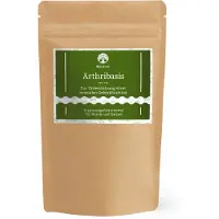 Waldkraft. Waldkraft Arthribasis – Natürliche Gelenkunterstützung 350 g Pulver