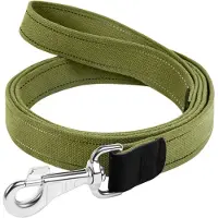 Collar Pet Führleine