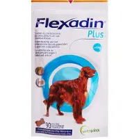 Flexadin Plus für große Hunde