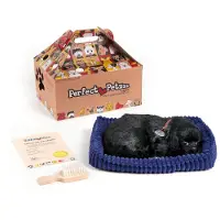 Perfect petzzz Schwarzer Labrador 96323
