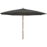 vidaXL Sonnenschirm mit Holzmast Anthrazit 400x273 cm
