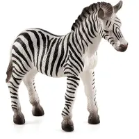 Animal planet Zebra Fohlen