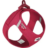 Curli Air-Mesh, Hund, Weste, 3XS, Rot, Polyester, Chihuahua, Dackel, Jack Russell Terrier, Spitz, Pudel, Französische Bulldogge, Yorkshire Terrier