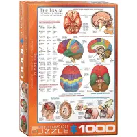 Eurographics Puzzle Gehirn 1000 Teile