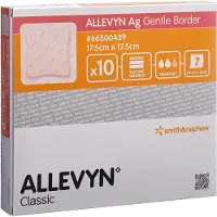 Smith&Nephew Allevyn Ag Gentle Border 17,5x17,5 cm Wu 10 St