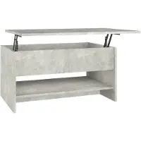 vidaXL Couchtisch Betongrau 80x50x40 cm Holzwerkstoff