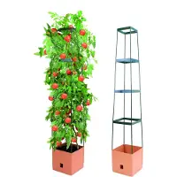 Bio Green Maxitom Pflanzenturm Terrakotta