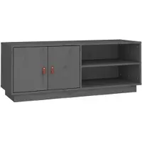 vidaXL TV-Schrank Grau 105x34x40 cm Massivholz Kiefer