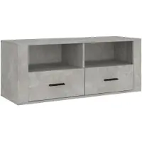 vidaXL TV-Schrank Betongrau 100x35x40 cm Holzwerkstoff