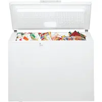 Bauknecht GTE ECO 222 C EX, 219 l, 16 kg/24h, 42 dB, 4*, C, Weiß