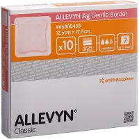 Smith&Nephew Allevyn Ag Gentle Border 12,5x12,5 cm Wu 10 St