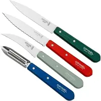 Katadyn Küchenmesser-Set Les Essentiels - 4-teiliges Holz/Stahl - Sandvik Stahl, Buchenholz, Geschenkverpackung, Handwäsche empfohlen - France