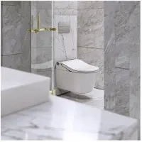 Toto RW Washlet Dusch-WC für RP Wand-WC CW542EY weiss