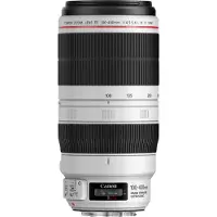 Canon EF 100-400mm f/4.5-5.6 L IS USM II (Drehzoom) Gebrauchtware | Sehr leichte Gebrauchsspuren | 12 Monate Garantie