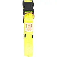 Duvo+ Halsband Nylon Flash Leucht USB