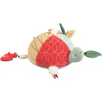 Sebra Turbo the Turtle Aktivitätsspielzeug, Multi, Babyspielzeug