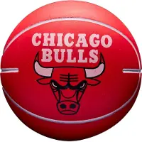 Wilson Nba Dribbler Basketball Chicago Bulls