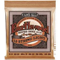 Ernie Ball 2153 Erdholz Phosphorbronze 12-saitig 9-46