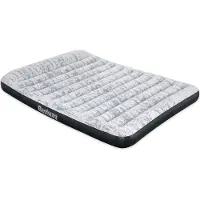 Bestway 67836, Doppelmatratze, Integrierte Luftpumpe