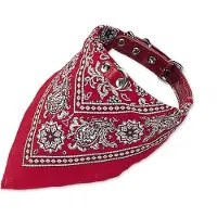 Nobby Halsband mit Tuch