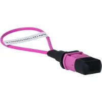 BlueLAN BlueOptics Loopback Adapter MPO/MTP Multimode OM4