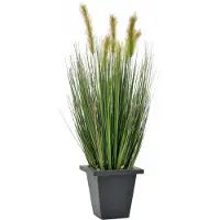 XL Palms Moorgras im Dekotopf