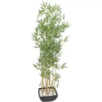 XL Palms Zierbambus in Dekoschale, künstlich, 150cm