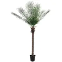 XL Palms Phönix Palme deluxe, Kunstpflanze 220cm