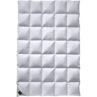 Billerbeck Daunendecke 306 Nena Mono medium, Füllung: 100% Gänsedaunen