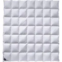 Billerbeck 312 CATALINA