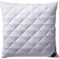Billerbeck Classic Clean