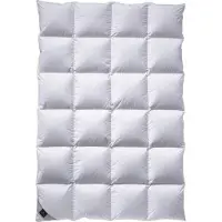 Billerbeck Daunendecke Nena 306 Kassette X extra warm, Füllung: 100% Gänsedaunen